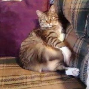 Meet your Posher, Cheryl